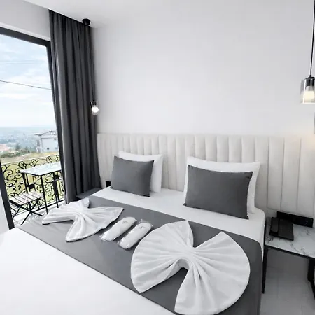 D Twins Airport Hotel *